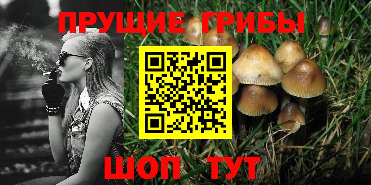 Галлюциногенные грибы Magic Shrooms Сегежа