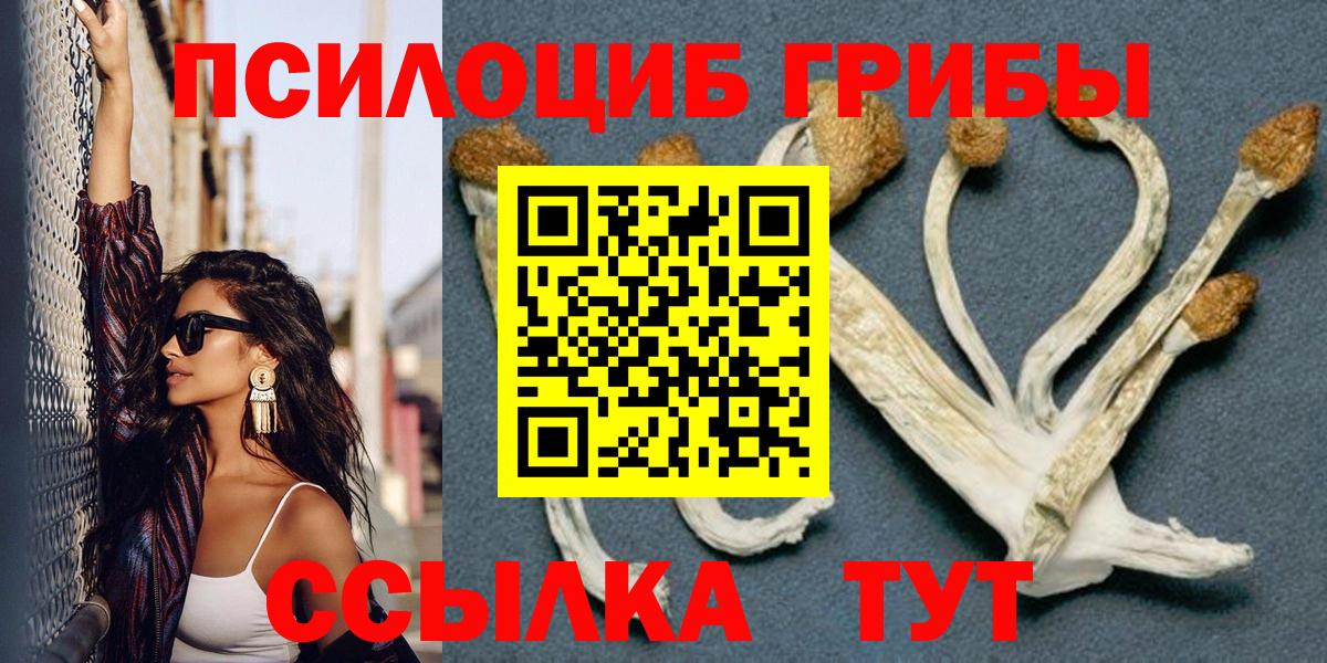 Сегежа  Псилоцибиновые грибы MAGIC MUSHROOMS  Вход с VPN 